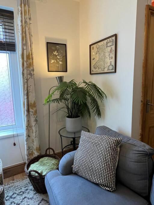 Just The Splott! Sleeps 6, 8 Mins To Stadium. Cardiff Zewnętrze zdjęcie
